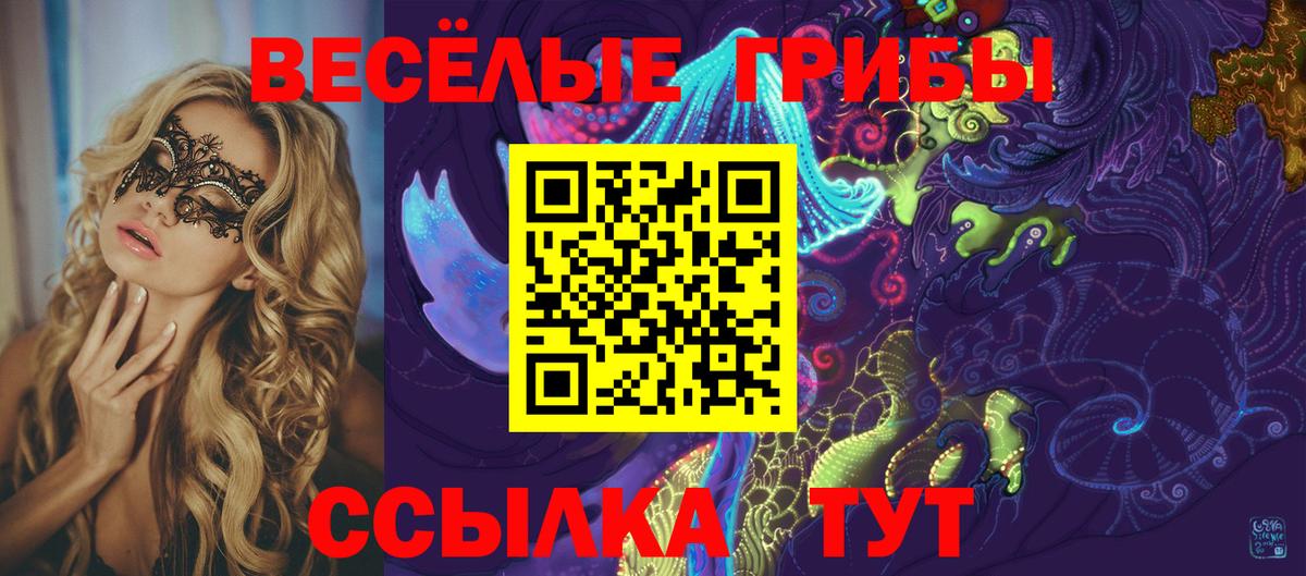 Псилоцибиновые грибы мицелий Рязань
