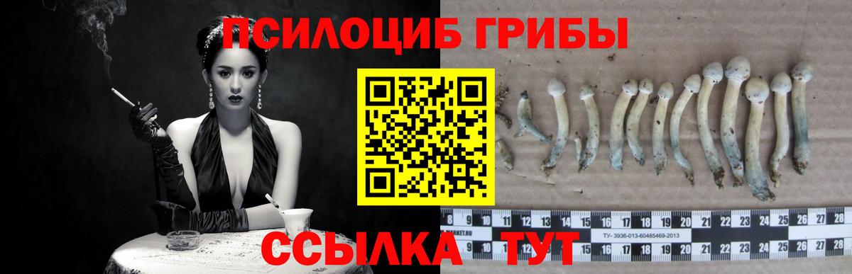 Галлюциногенные грибы Cubensis  Вход с VPN  Псилоцибиновые грибы мухоморы  Рязань 